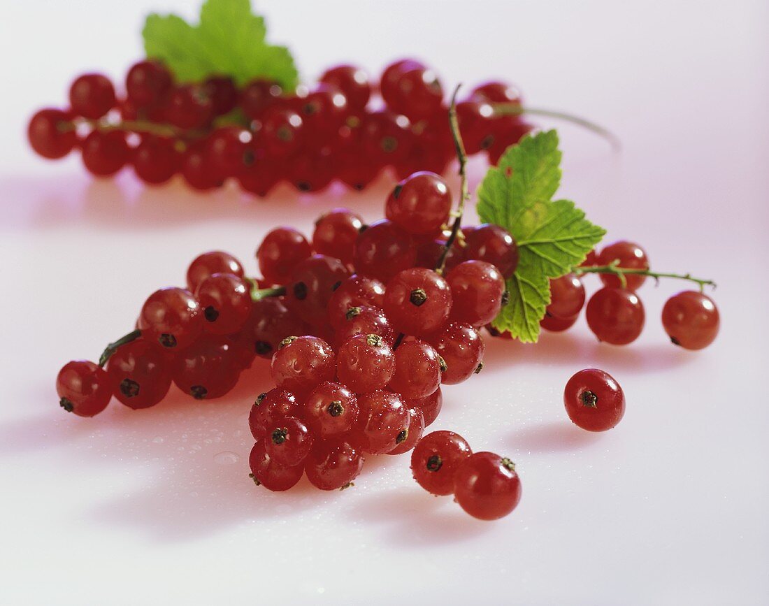 Rote Johannisbeeren mit Blatt