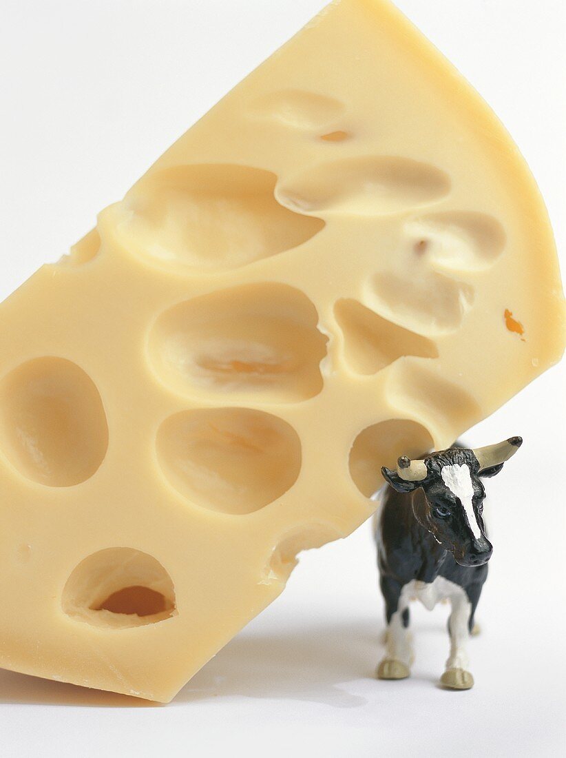 A piece of Emmental cheese with a toy cow