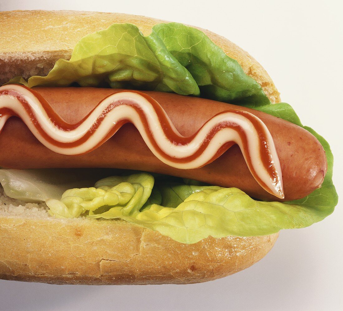 Red and white hot dog