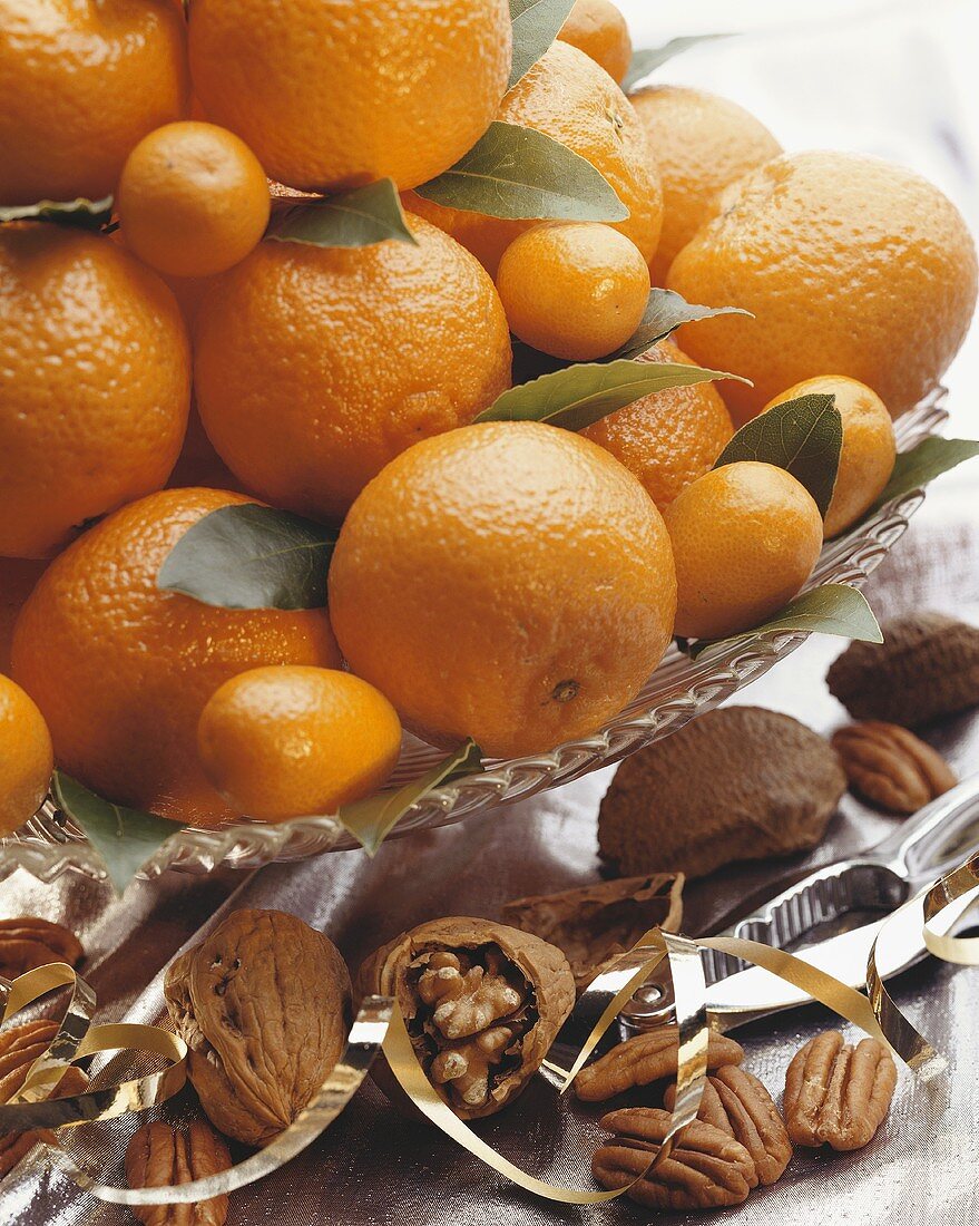 Stillleben mit Orangen, Kumquats, Walnüssen und Paranüssen