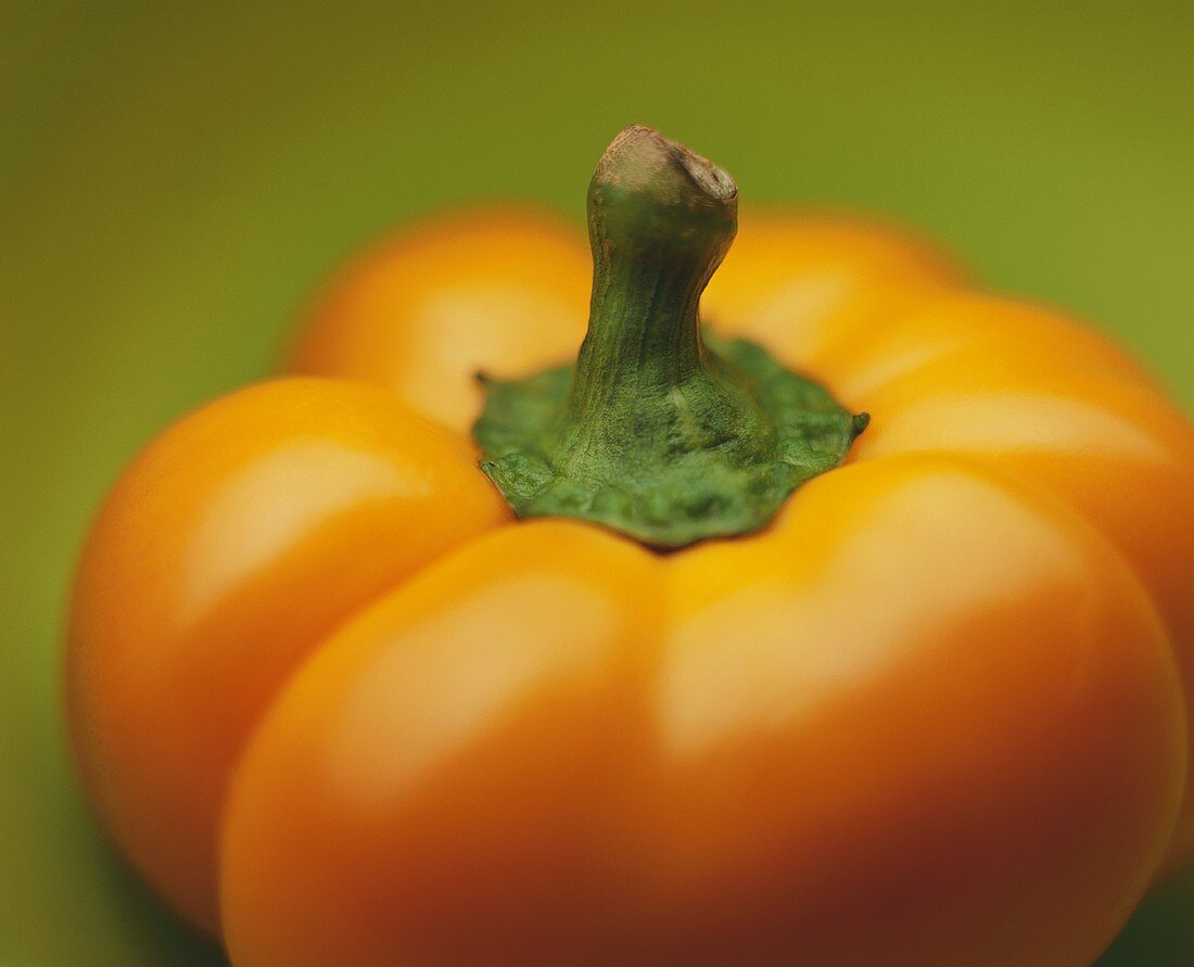 Orangefarbene Paprikaschote (Ausschnitt)