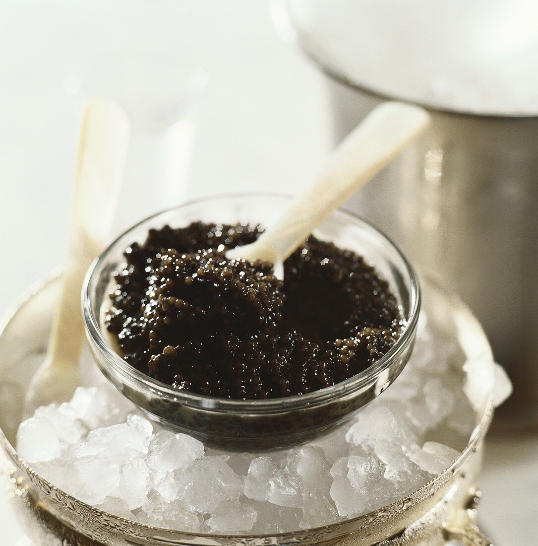 Black caviare with mother-of-pearl spoon