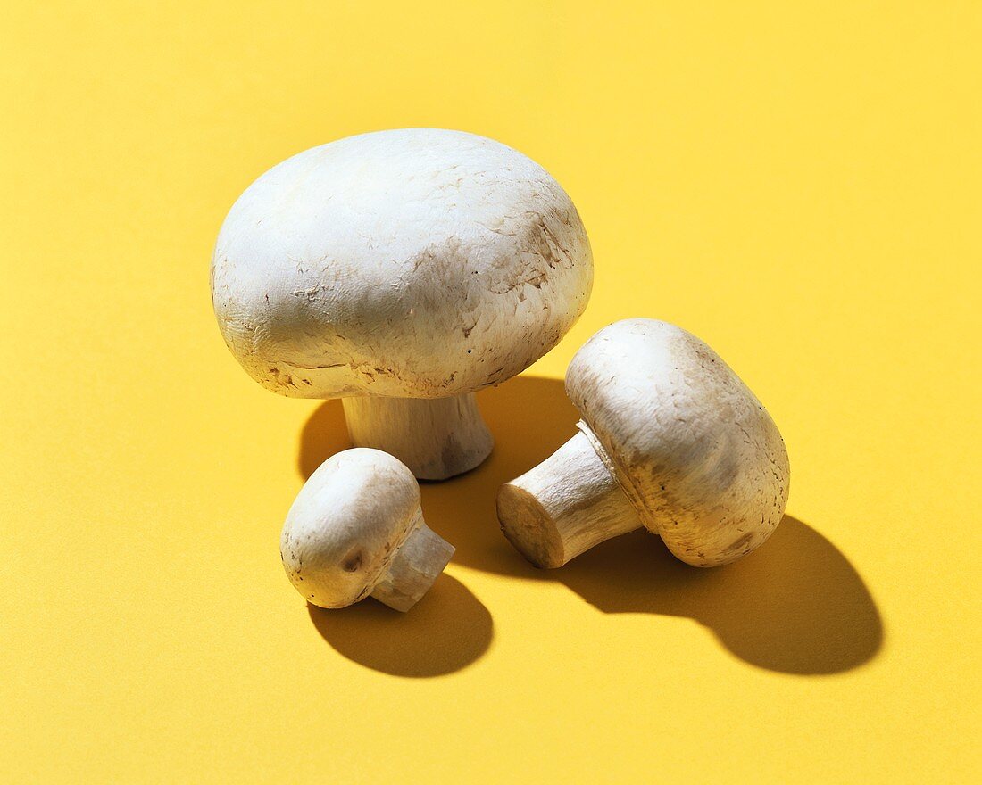 Three button mushrooms