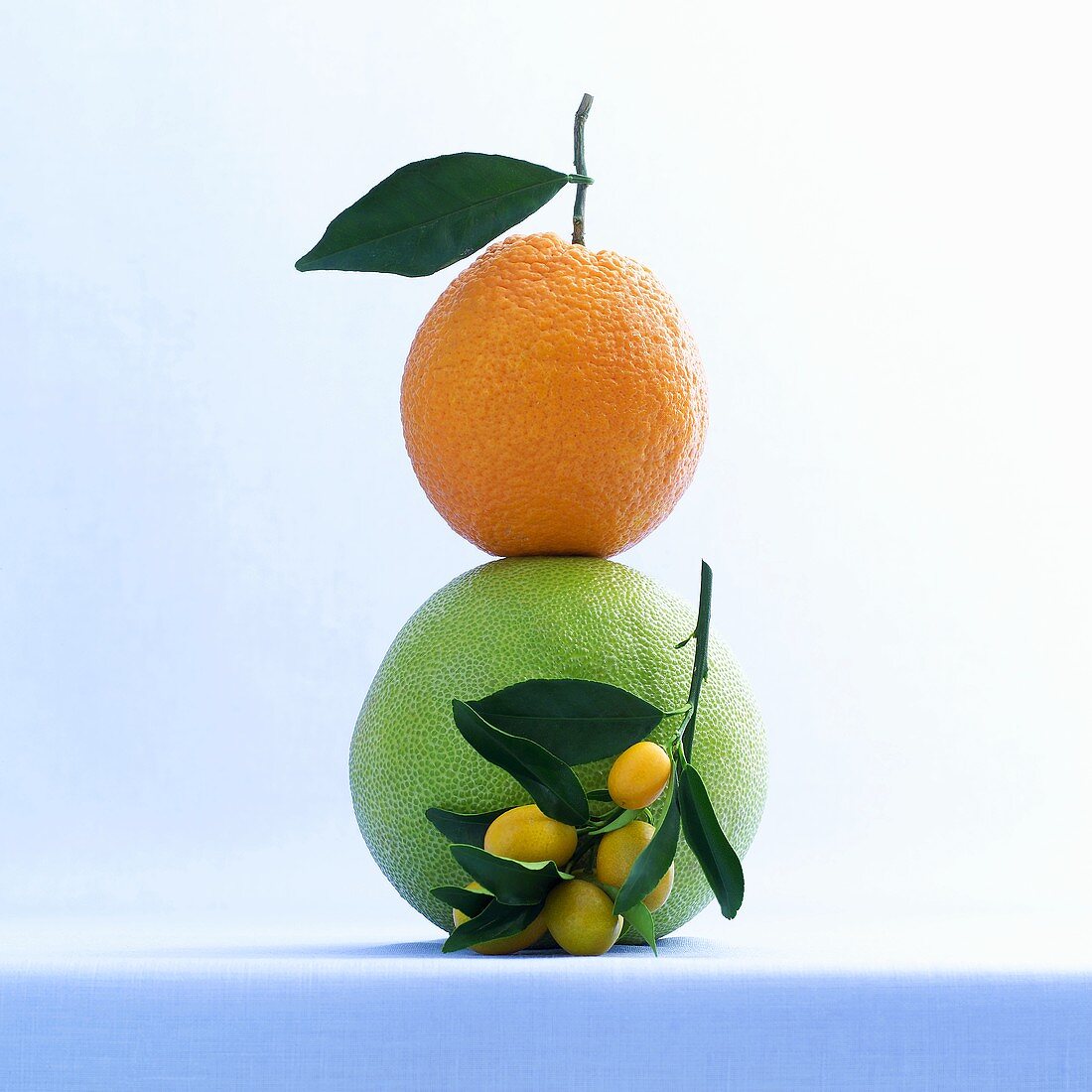 Still life with kumquats, pomelo and orange