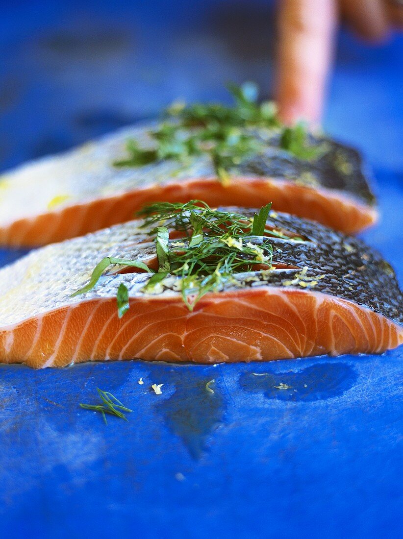 Salmon fillet with herbs on blue background