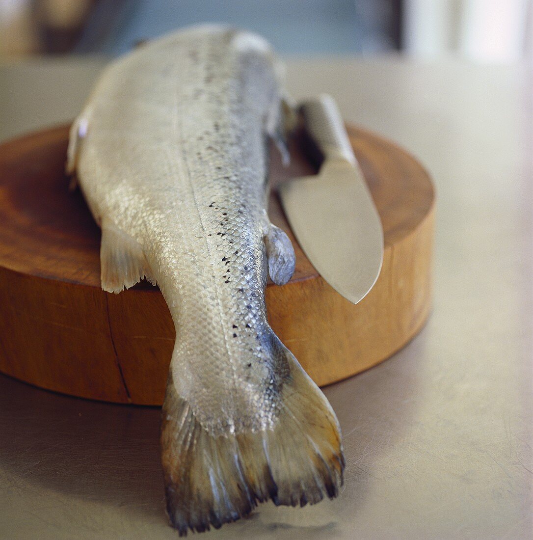 Wild salmon with knife on a wooden board
