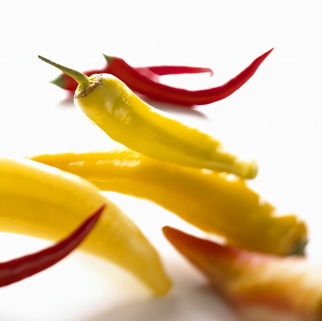 Several different chili peppers