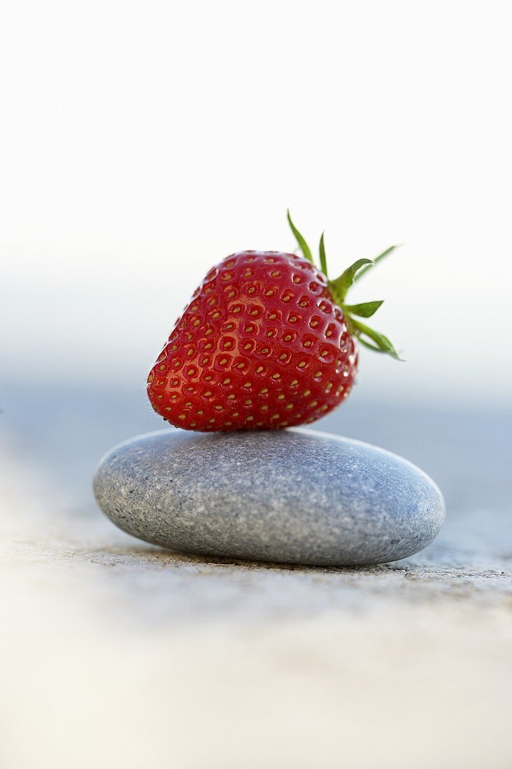 Eine Erdbeere auf einem Stein