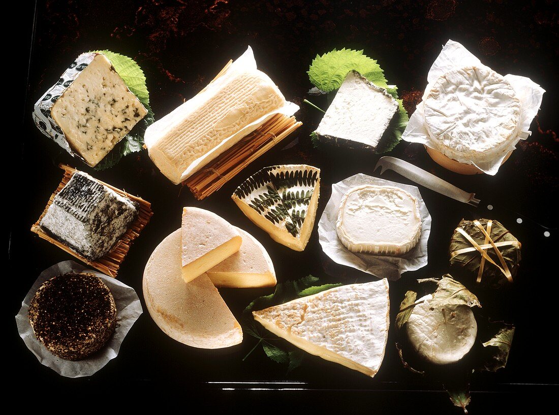 Various types of French cheese