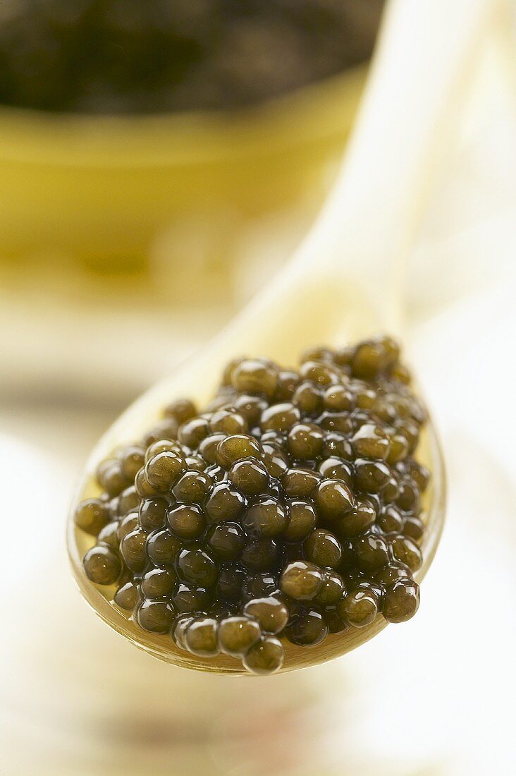 Kaviar auf einem Löffel