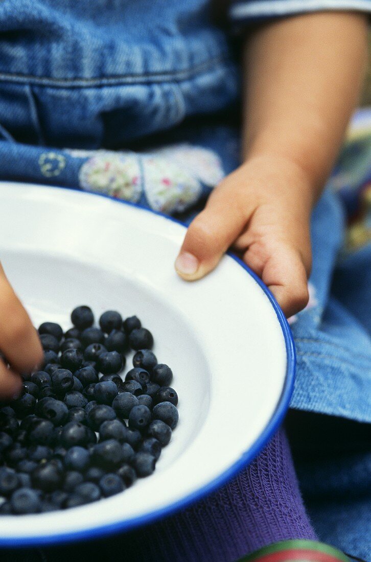 Hände halten Teller mit frischen Heidelbeeren