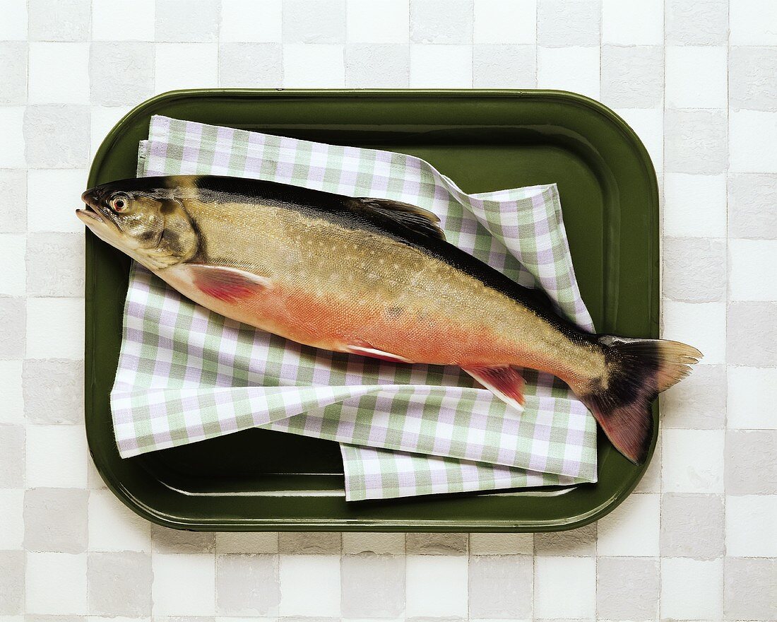 Alpenlachs salmon (farmed in Austria)