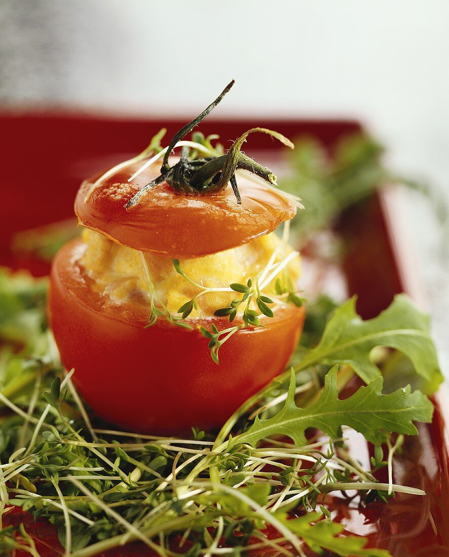 Tomate mit Lachsfüllung auf Rucola-Kresse-Salat