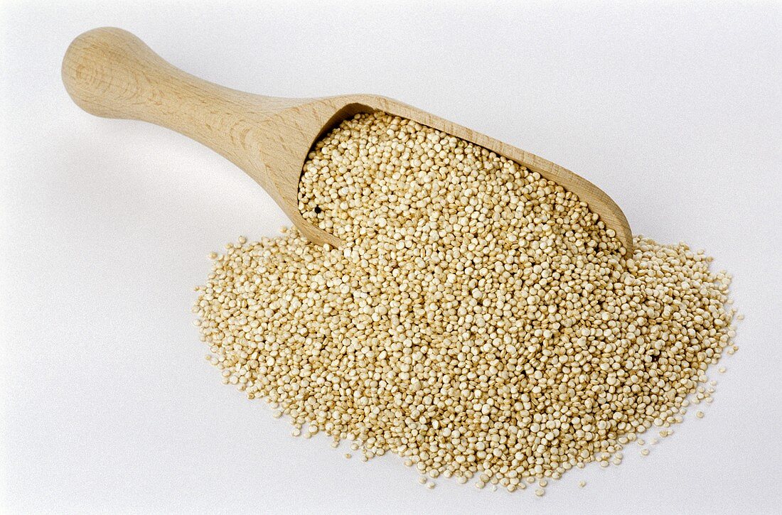 Quinoa on wooden scoop (Chenopodium quinoa)