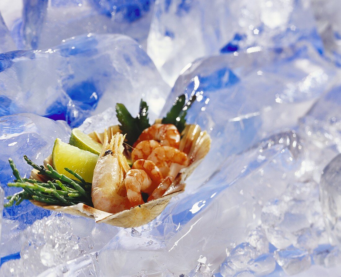 Seafood in shell on ice