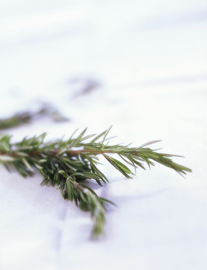 Sprig of rosemary