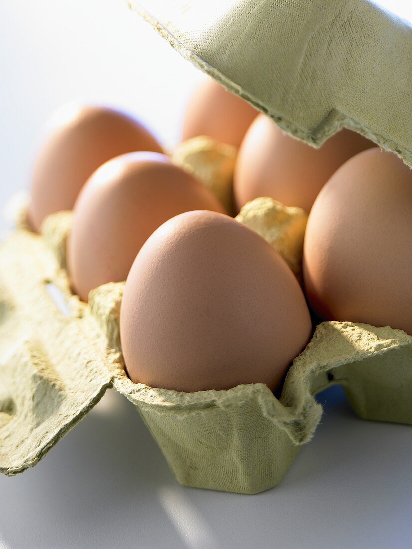 Sechs braune Eier in einem geöffneten Eierkarton