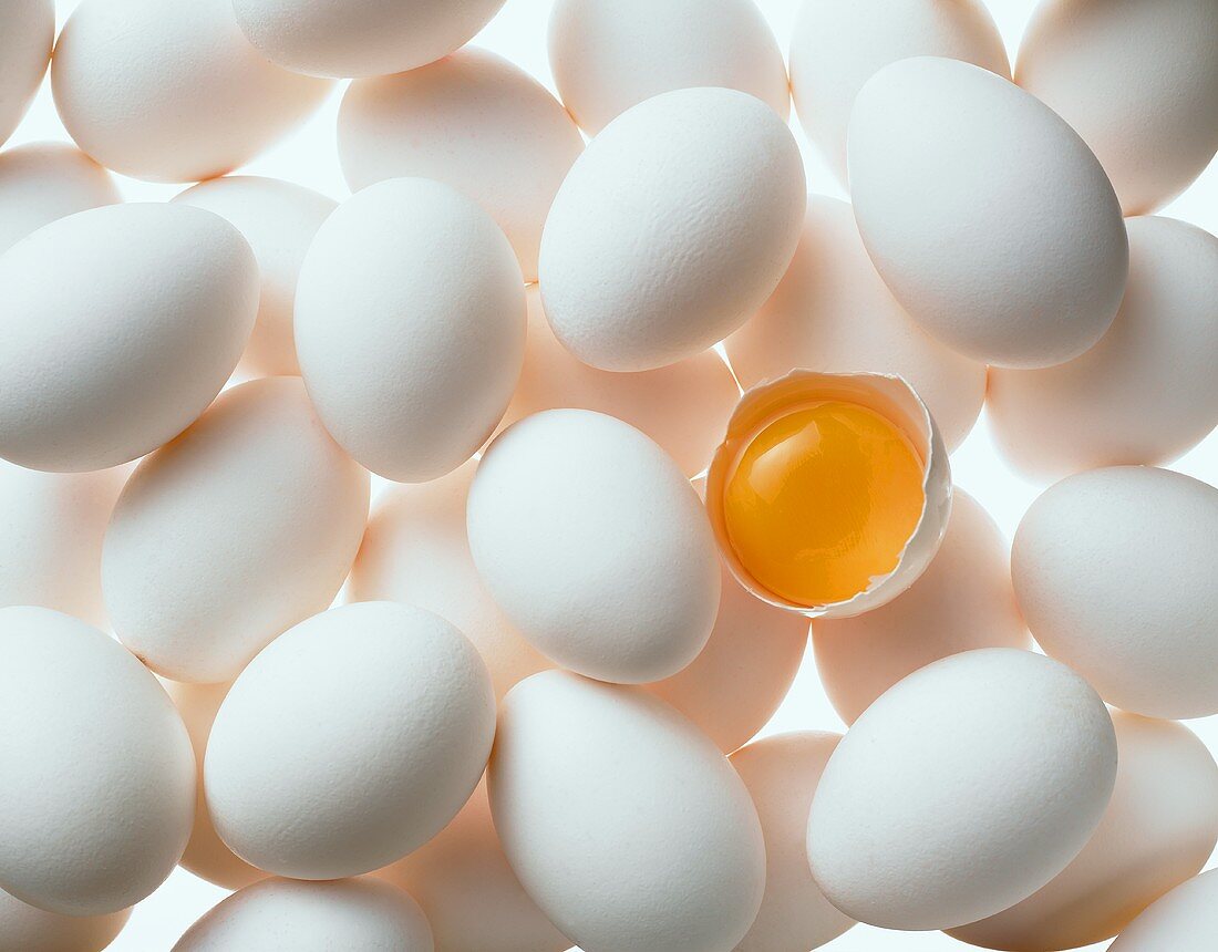 Viele weiße Eier, eines davon geöffnet