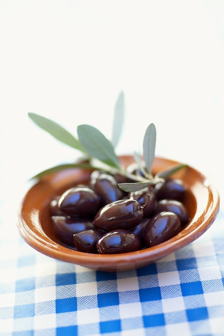 Schwarze Oliven mit einem Zweig in einem Schälchen