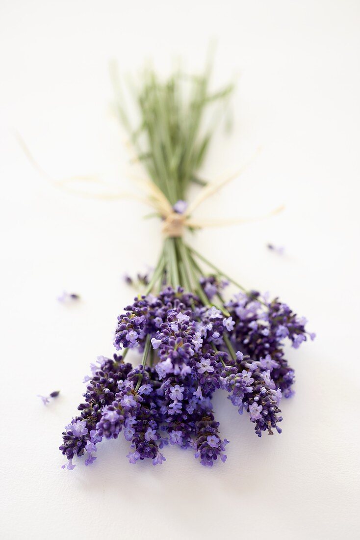 Bunch of flowering lavender