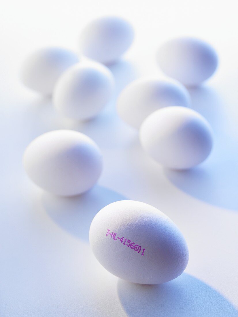 weiße Eier, eines mit Herkunftsstempel (3 = Käfighaltung)