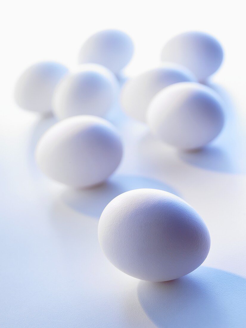 White eggs on white background