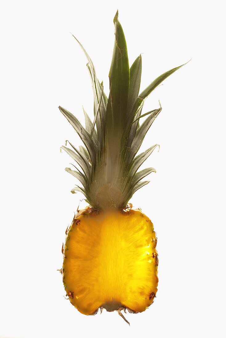 A slice of baby pineapple, backlit