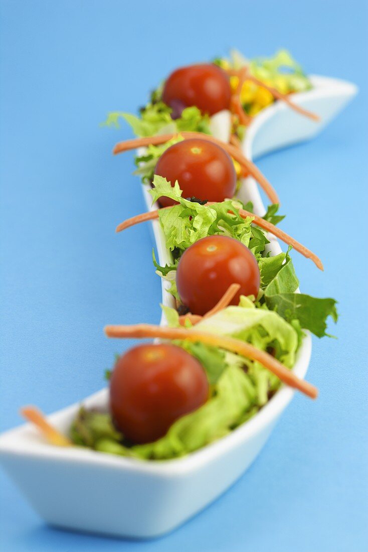 Salad leaves with cocktail tomatoes in decorative bowl