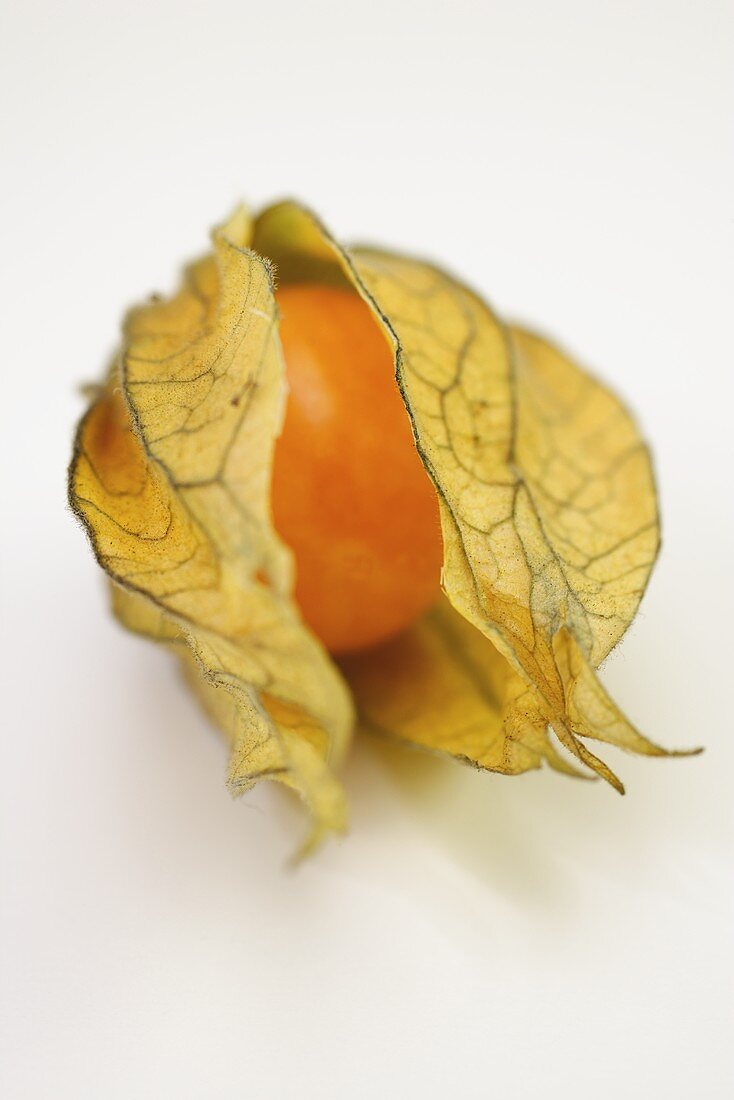 A Cape gooseberry in its husk
