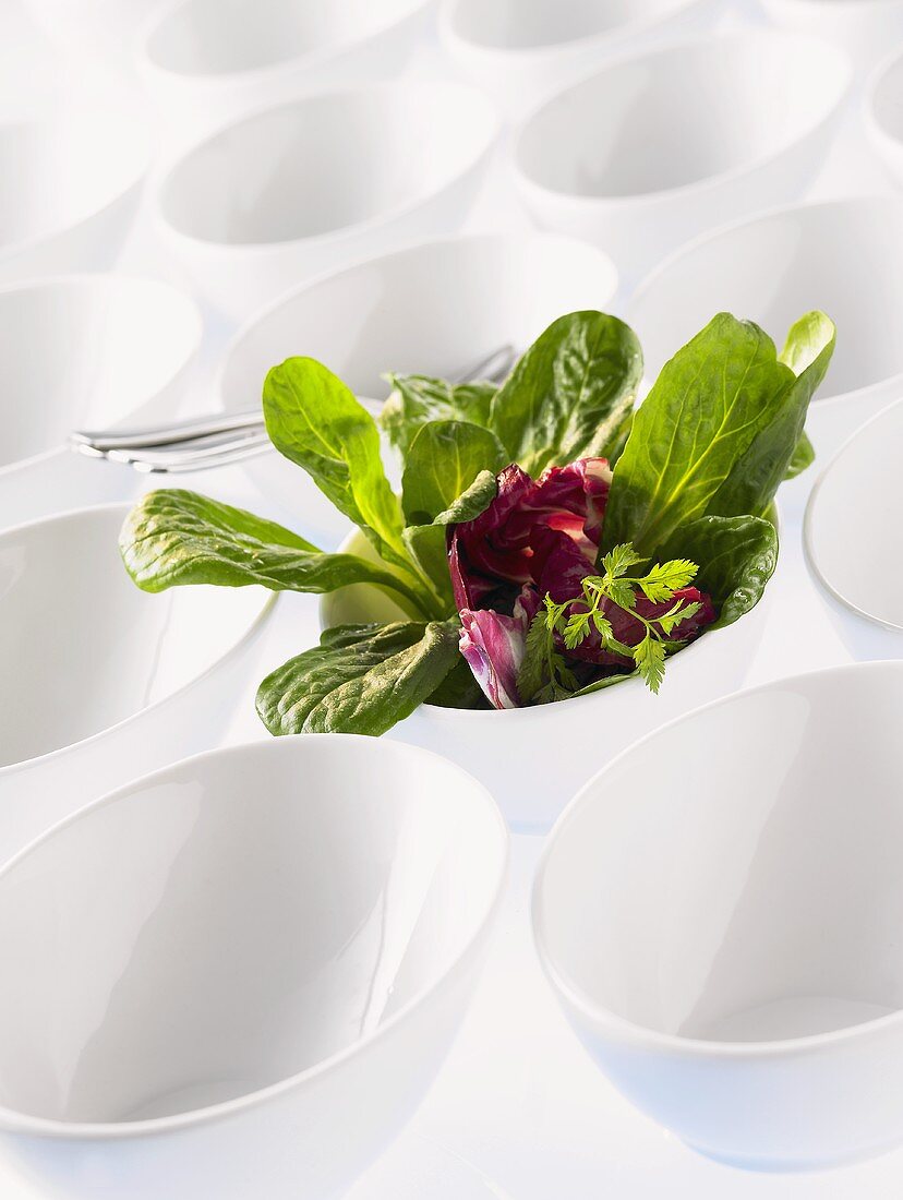 Lots of white bowls, one full of green salad