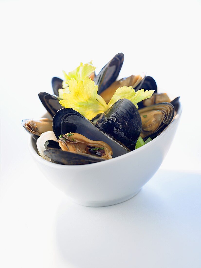 Mussels in a dish