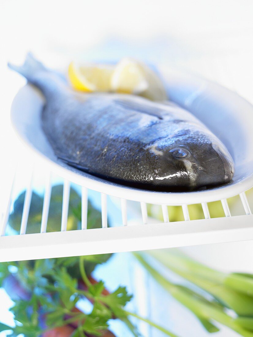 Ein ganzer frischer Fisch auf Teller im Kühlschrank