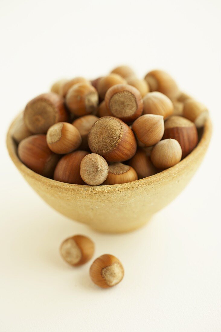 Two different types of hazelnuts in & in front of a bowl