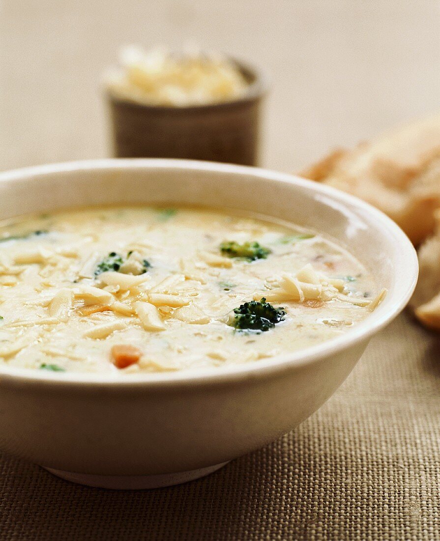 Vegetable chowder with cheese