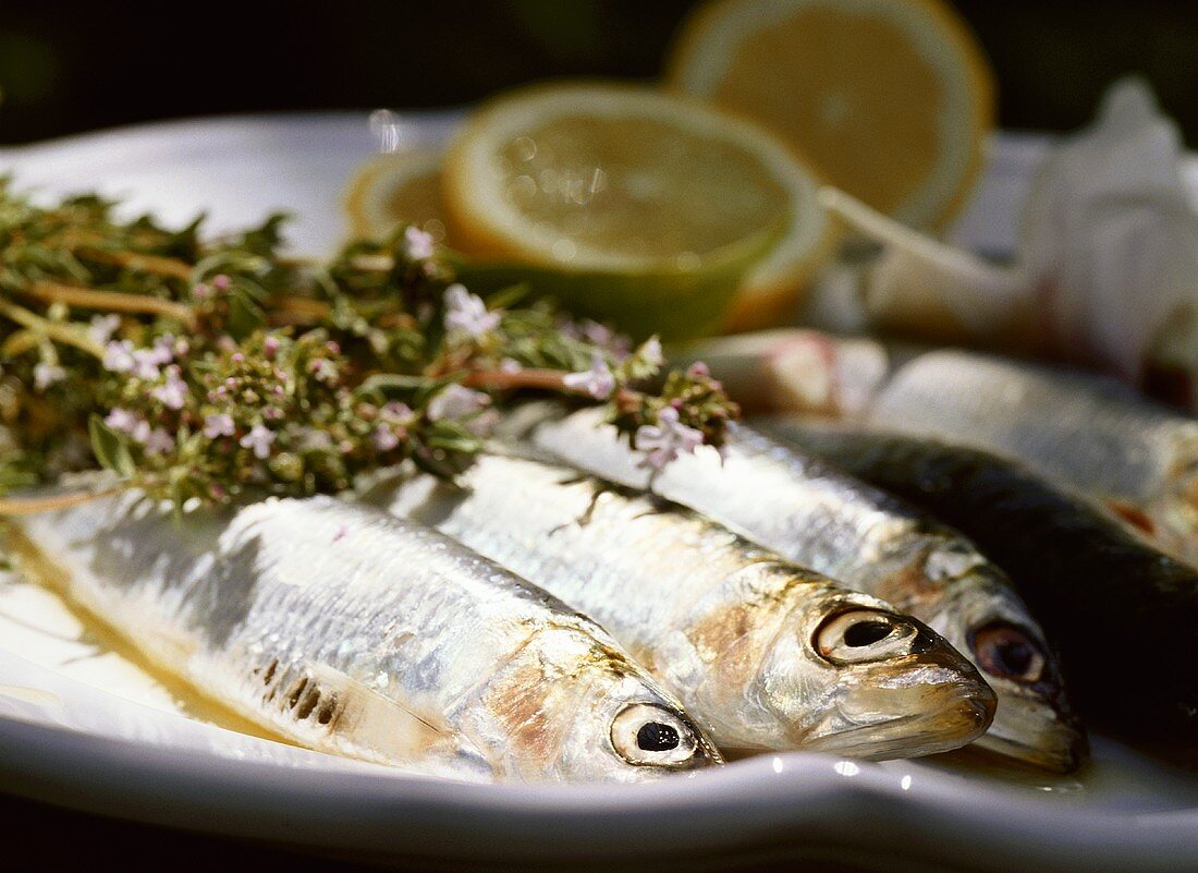 Sardines with fresh herbs