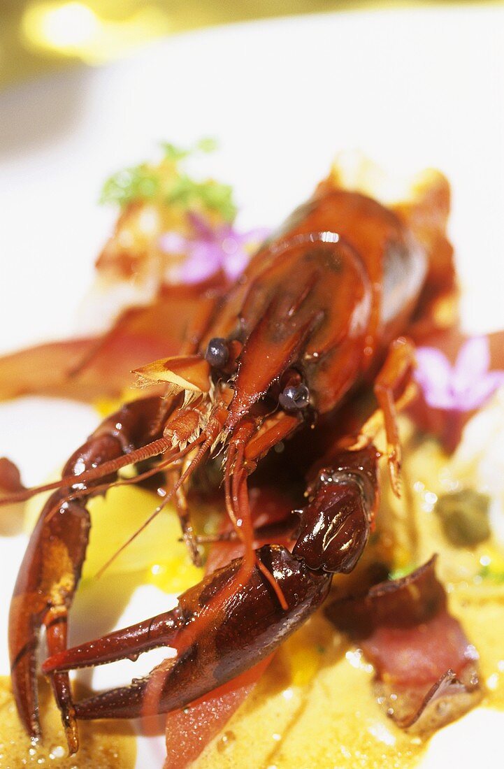 Crayfish, chestnuts and biltong (Paarl, S. Africa)