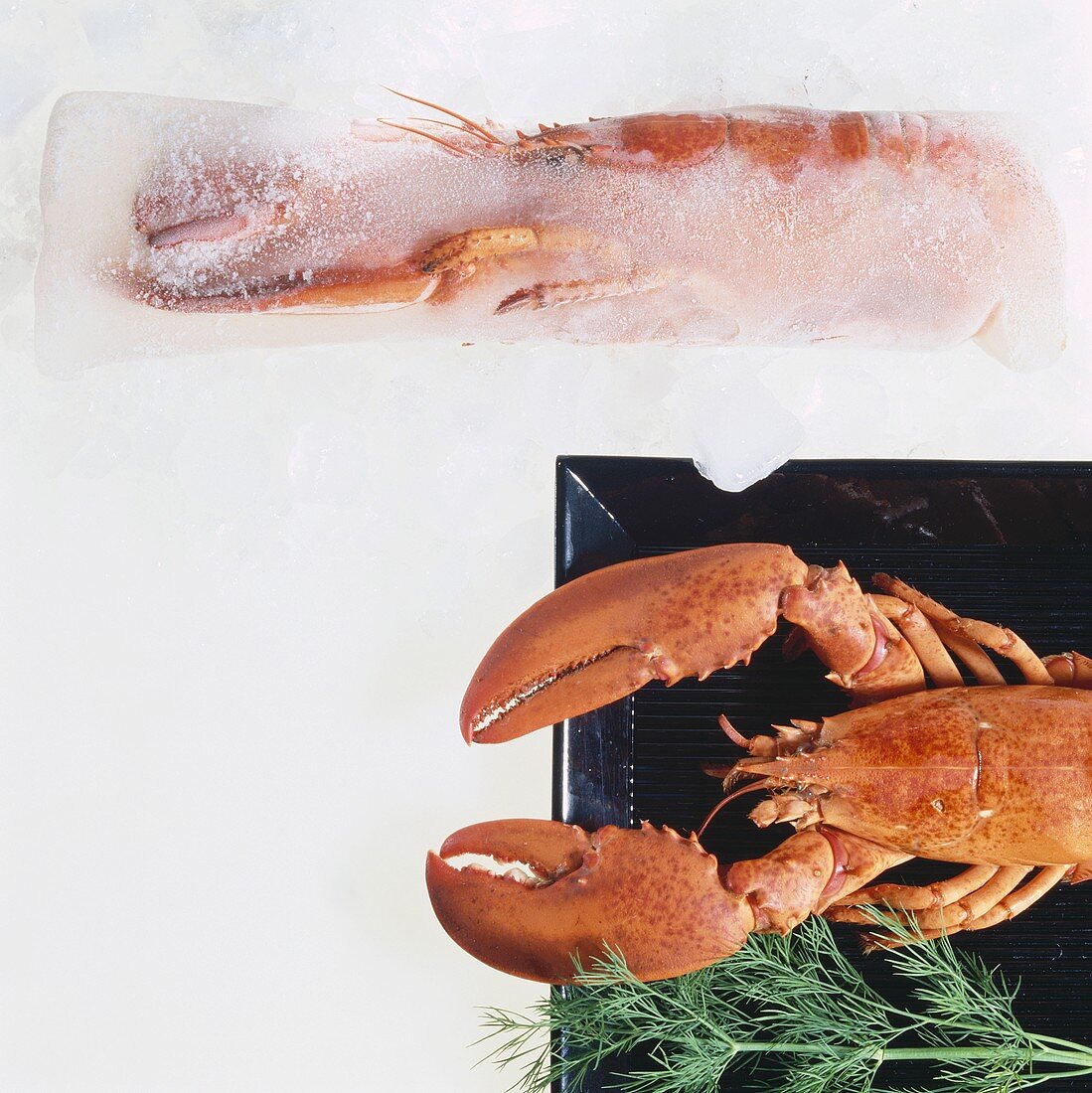 Lobster, fresh and frozen