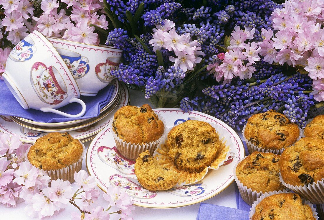 Rosinenmuffins auf Tisch mit Traubenhyazinthen und Obstblüten