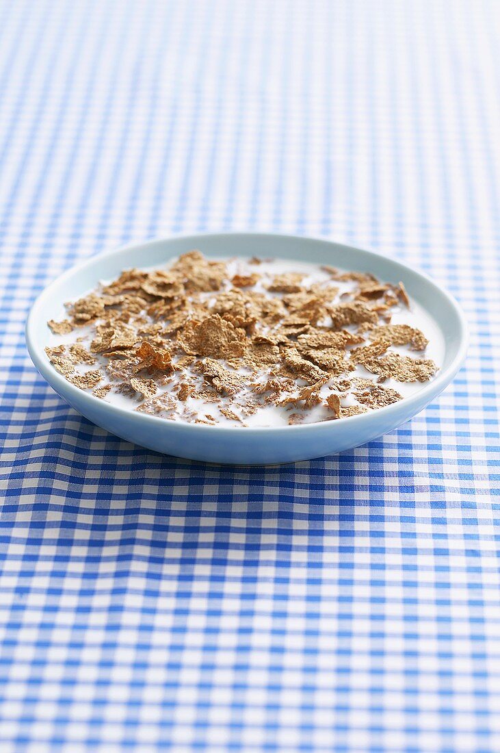 Breakfast cereal with milk