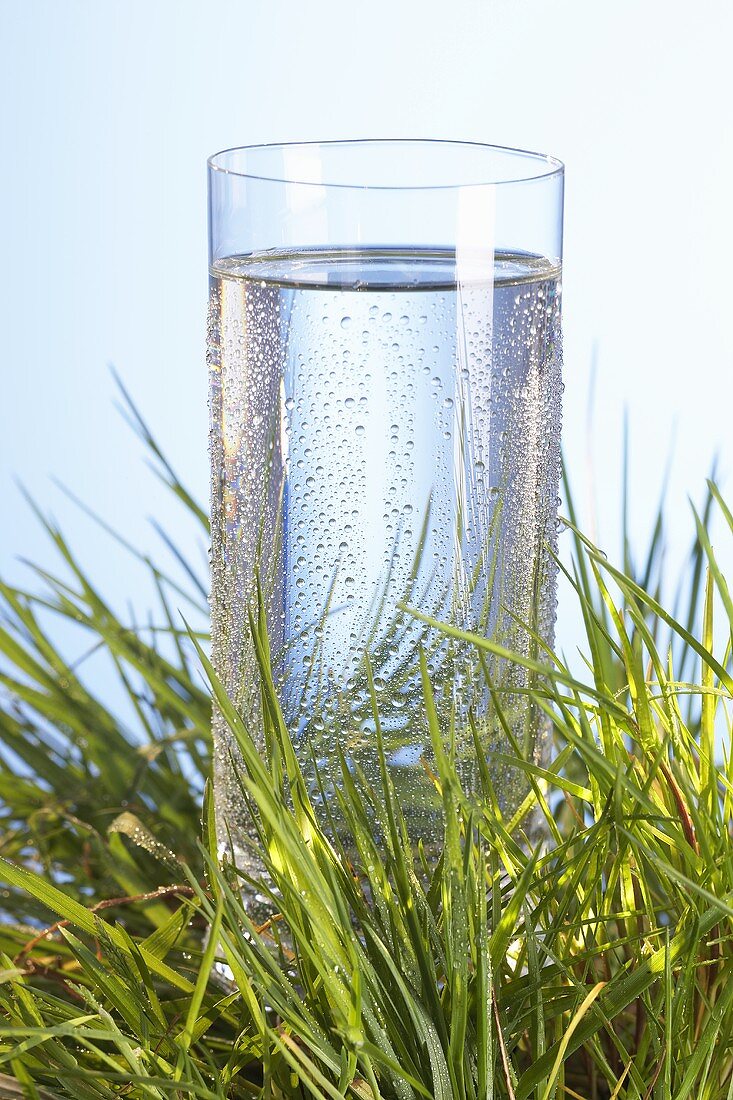 Glass of water in grass