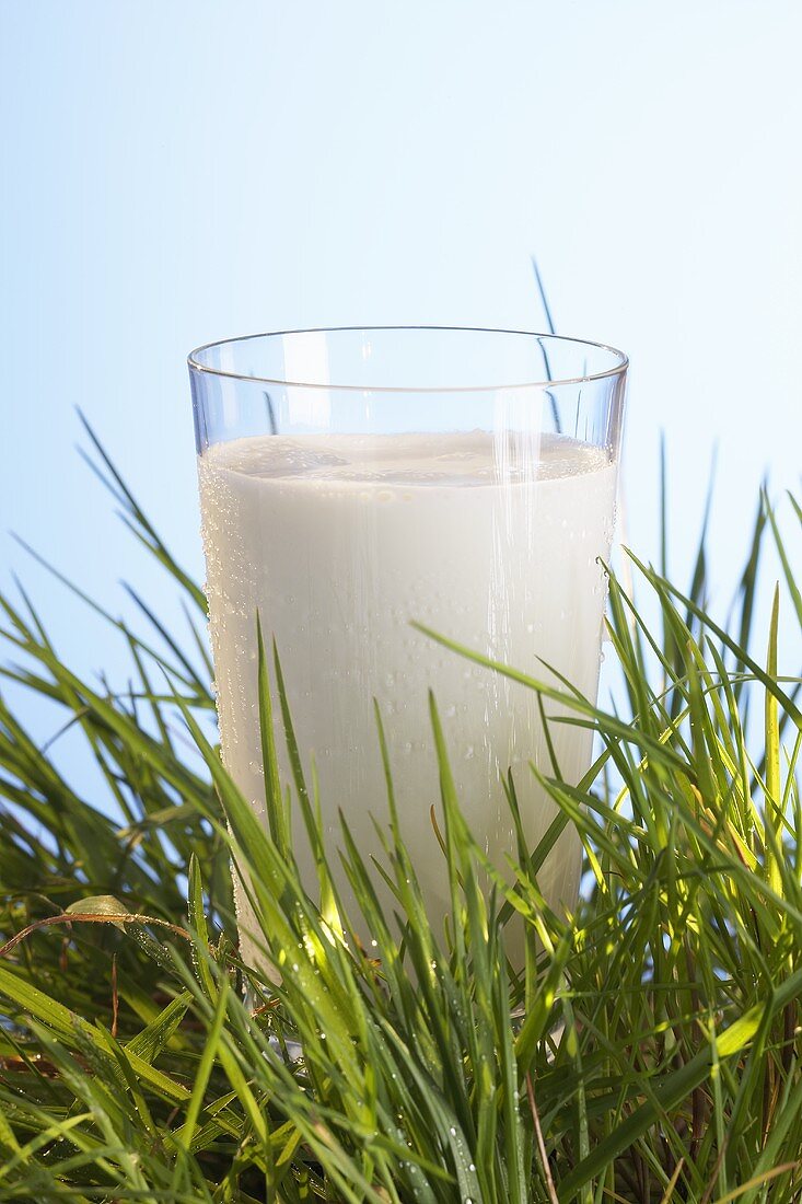 A glass of milk in grass