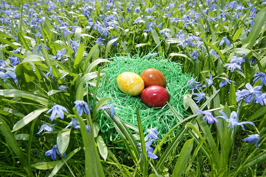 An Easter nest with coloured eggs in a flowery meadow