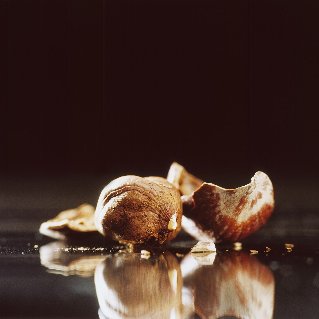A shelled hazelnut and shell