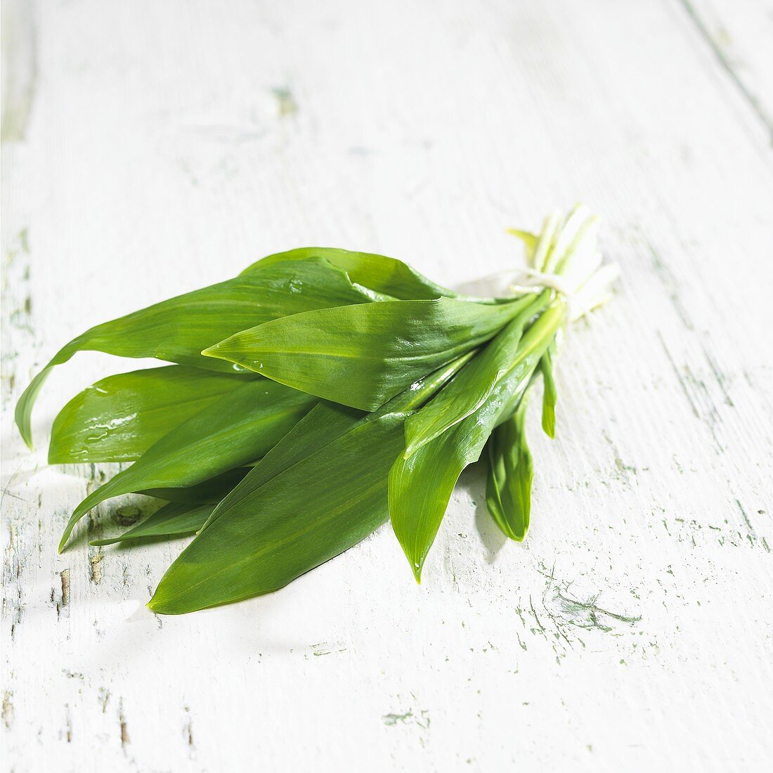 A bunch of ramsons (wild garlic)