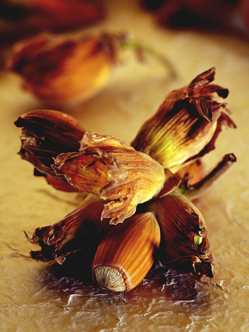 Hazelnuts with outer husks