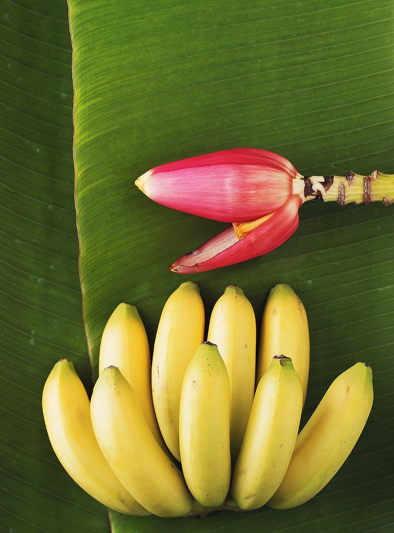 Bananen und Bananenblüte auf Bananenblatt