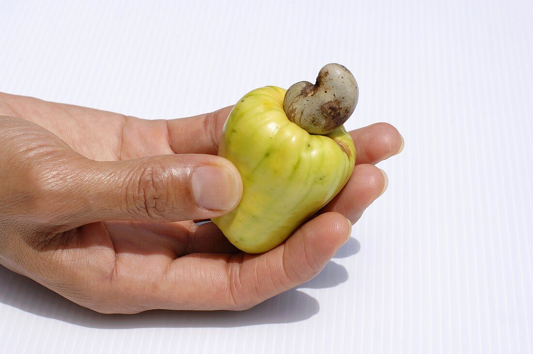 cashew apple fruit