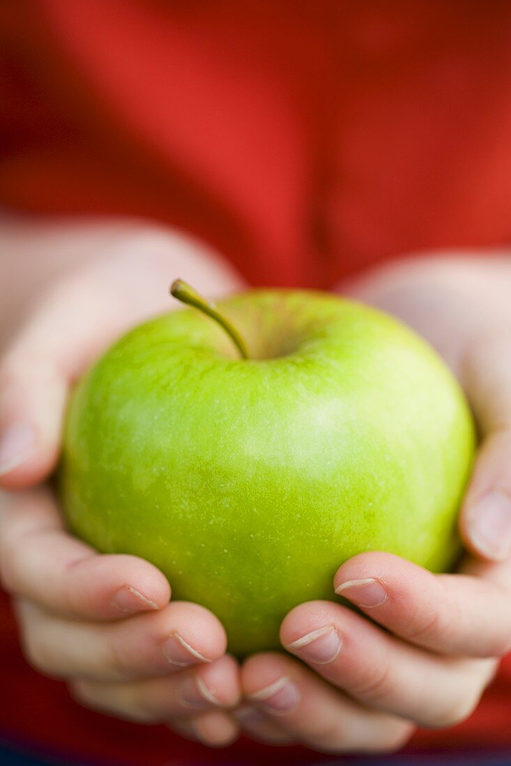 Zwei hände halten einen Apfel