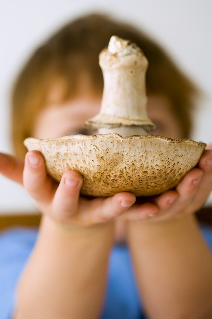 Kleiner Junge hält Wiesenchampignon vors Gesicht