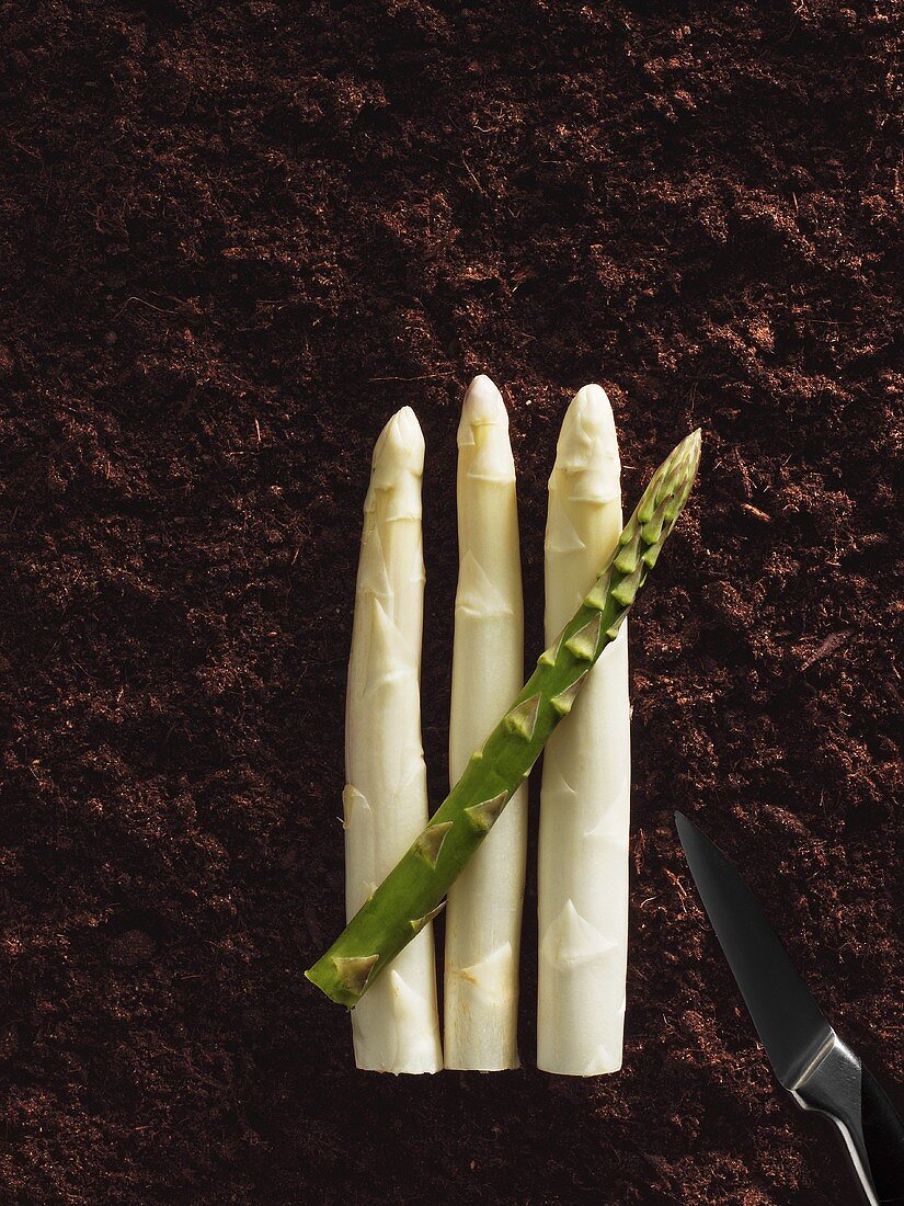 White and green asparagus on soil